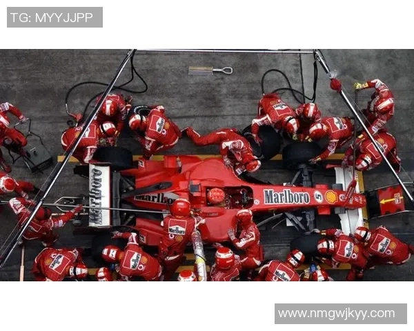 F1赛车手心理调节与比赛表现研究